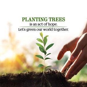 PLANTATION DRIVE.